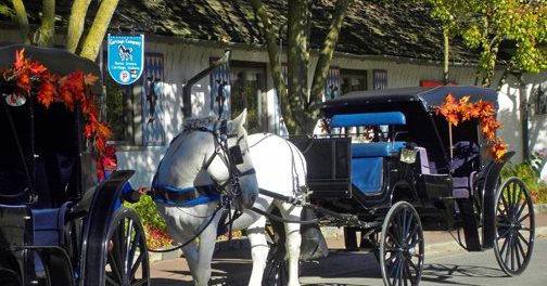 Home - Horse Drawn Carriage Company