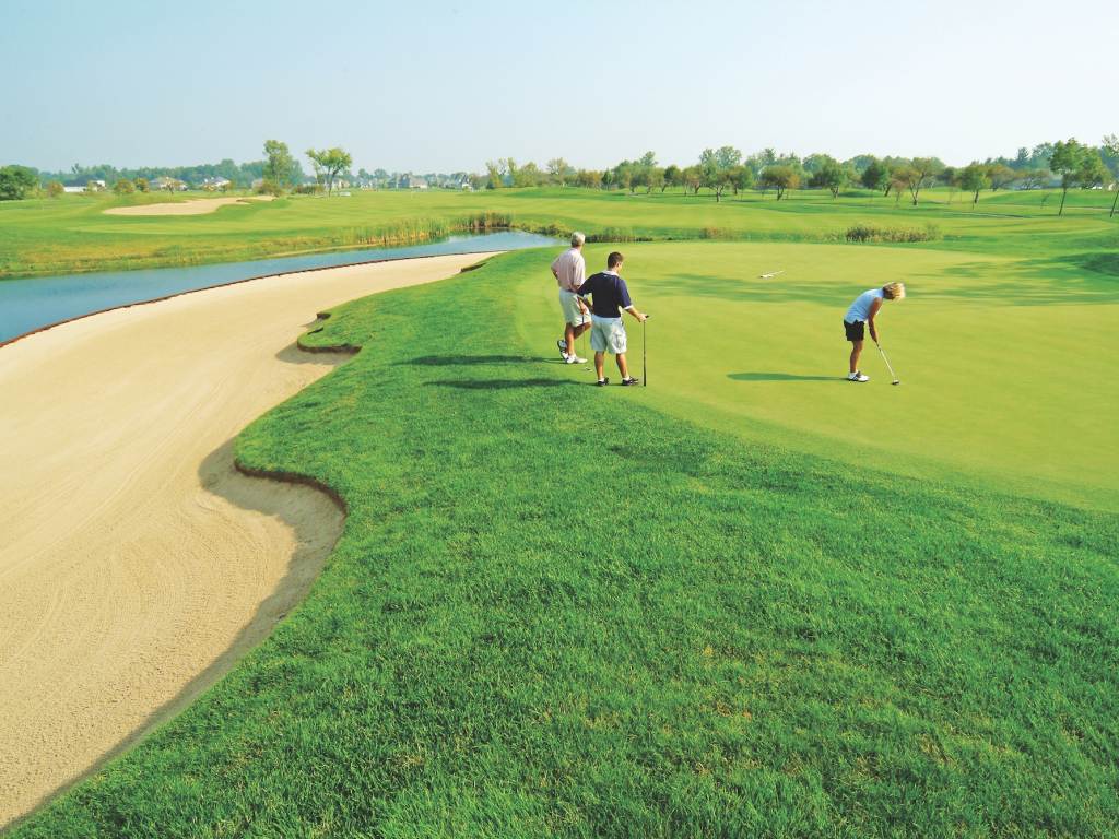 Golf courses go green