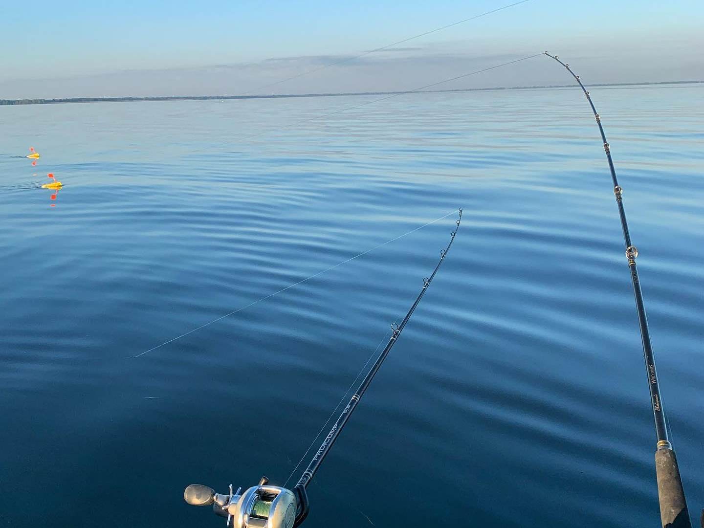 Saginaw's Best Walleye Fishing Charters